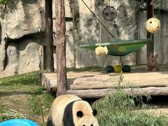 -上海野生动物园