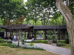 -泰州凤城河风景区-泰山公园