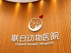 -联合动物医院(光谷诊疗中心)