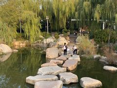 -西安曲江寒窑遗址公园
