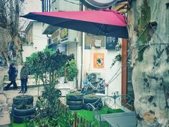 -树咖啡tree coffee