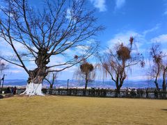 -西昌邛海宾馆
