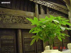 -保定会馆(红旗大街店)