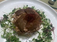 -三强鸽子(中原路店)