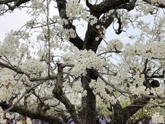 -江苏三台山国家森林公园