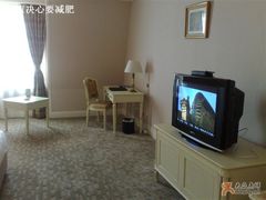 温泉酒店的房间-北京拉斐特城堡酒店