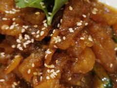 -大鸭梨烤鸭店(古城店)