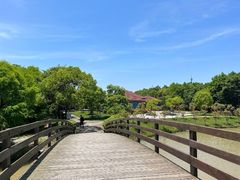 -上海海湾国家森林公园