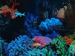 -中国湿地博物馆