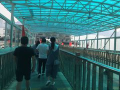 -武汉关码头(轮渡站)