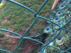 -云南艺术学院(呈贡校区)