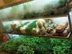 -鲜货俚鲜火锅(青果路店)