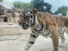 -荆州中山公园动物园