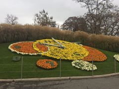 -花钟