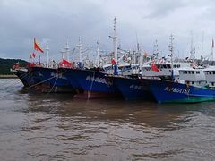 -东河市场