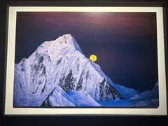 -罗红摄影艺术馆