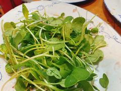 萝卜苗-华哥新鲜猪精品美食