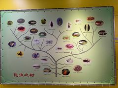 -上海昆虫博物馆