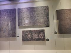 -白鹤梁水下博物馆