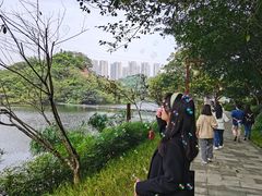 -重庆彩云湖湿地公园