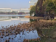 -尚贤河湿地