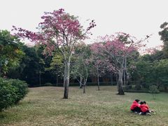 -晓港公园