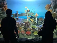 -暹罗海洋世界