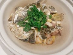 生啫深海大黄鱼-食廬(浦东嘉里城店)