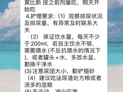 -纳吉亚猫专科动物医院博雅分院