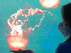 -多彩贵州城极地海洋世界