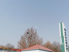 -青龙湖公园