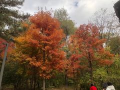 -长春市南湖公园