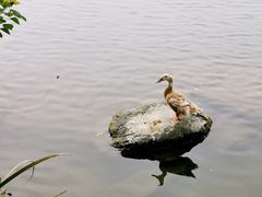 -上海怡沁园度假酒店