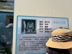 -青藏高原野生动物园