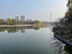 -大兴滨河森林公园