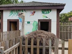 -太阳岛度假酒店