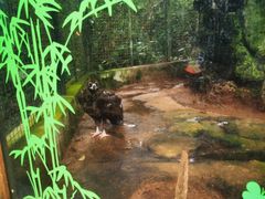 -海南热带野生动植物园