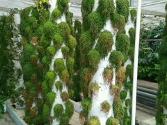 android_upload_pic-水镜湖