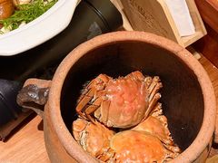 -金龙·打边炉(南京西路店)