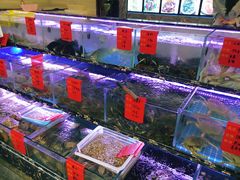 水产区-金海湾海鲜排档(朱家尖店)