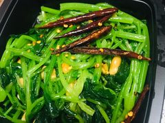 -东方饺子王(东盛路店)