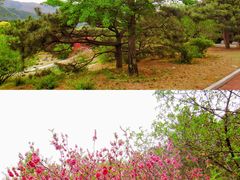 -国家植物园