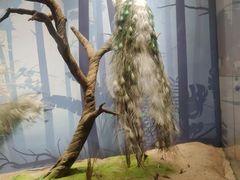 -陕西自然博物馆