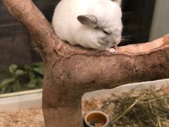 -龙猫仔乐园(惠福东路店)