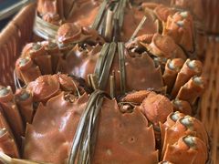 -乡乐园蟹庄·阳澄湖农家乐