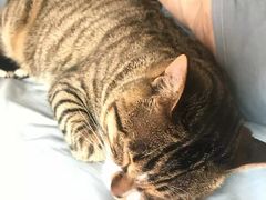 -CoCo都可(虹口龙之梦店)