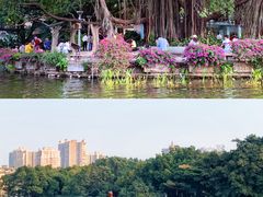 -荔湾湖公园