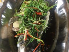 -越海渔村