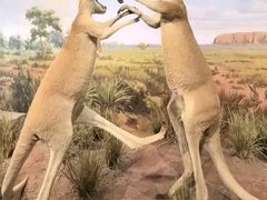 -陕西自然博物馆