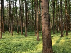 -同里国家湿地公园